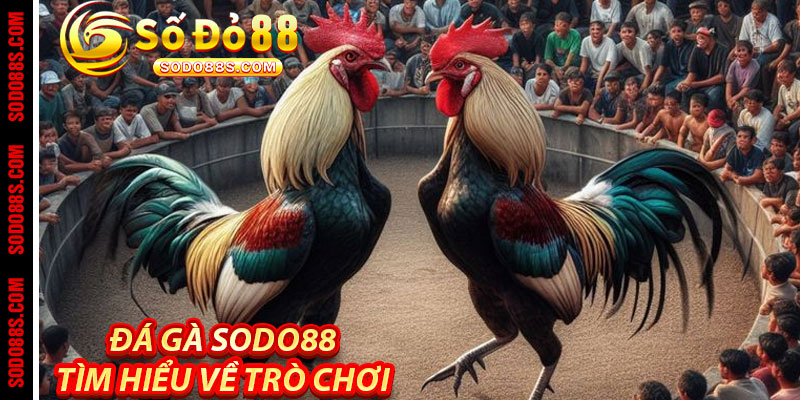Đá Gà Sodo88 – Cảm Giác Thật, Trận Đấu Đỉnh, Thưởng Liền Tay! - VEPIKA