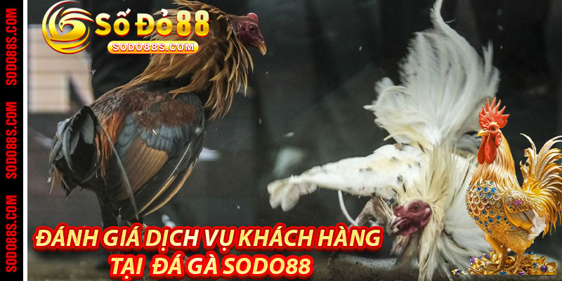 Đá Gà Sodo88 – Cảm Giác Thật, Trận Đấu Đỉnh, Thưởng Liền Tay! - VEPIKA