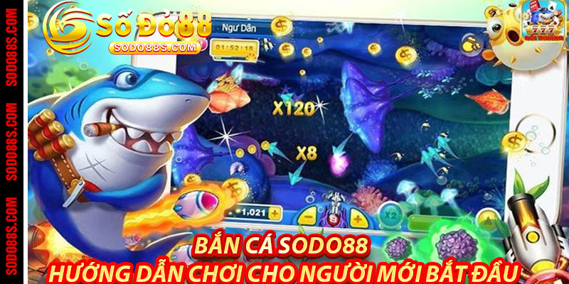 Bắn Cá Sodo88 – Đại Dương Thưởng Khủng Chờ Bạn Khám Phá! - VEPIKA