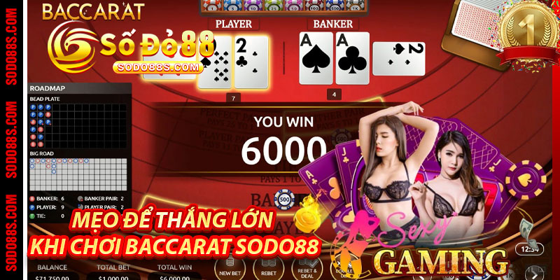 Baccarat Sodo88 - Chơi Thật, Thắng Thật, Thưởng Lớn! - VEPIKA