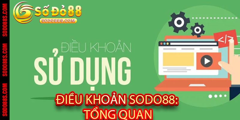 Điều Khoản Sodo88 - Minh Bạch, Cam Kết Quyền Lợi Người Chơi! - VEPIKA