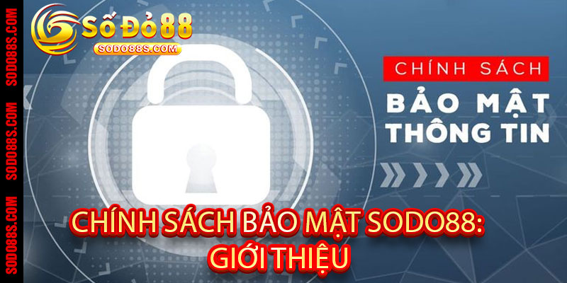 Chính Sách Bảo Mật Sodo88: An toàn tuyệt đối, bảo vệ người chơi 24/7! - VEPIKA