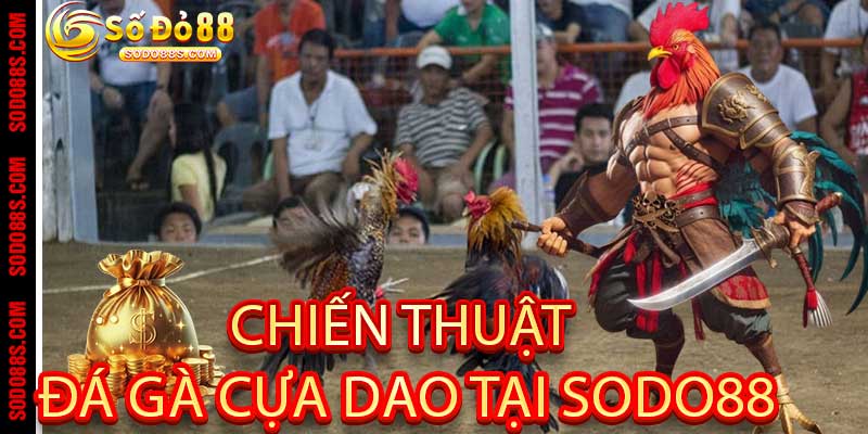 Đá Gà Cựa Dao - Chiến Kê Rực Lửa Tại Nhà Cái Sodo88 - VEPIKA