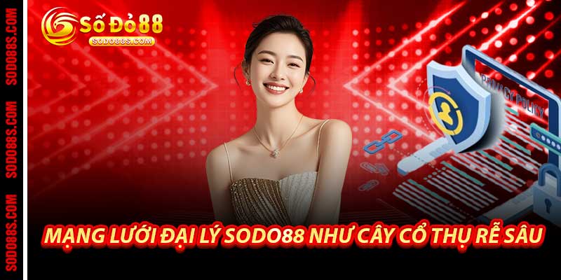 Đại Lý Sodo88 - Mạng Lưới Hợp Tác Kiếm Tiền Vững Chắc - VEPIKA