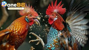 Đá Gà One88: Khám Phá Đẳng Cấp Cá Cược Đá Gà Số 1 - VEPIKA