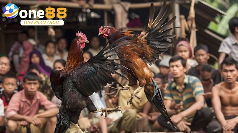 Kèo Đá Gà: Bí Quyết Chọn Kèo Chuẩn Tại One88 Cho Người Mới - VEPIKA