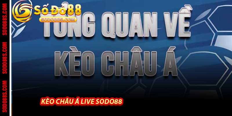 TIN TỨC - sodo88 - VEPIKA